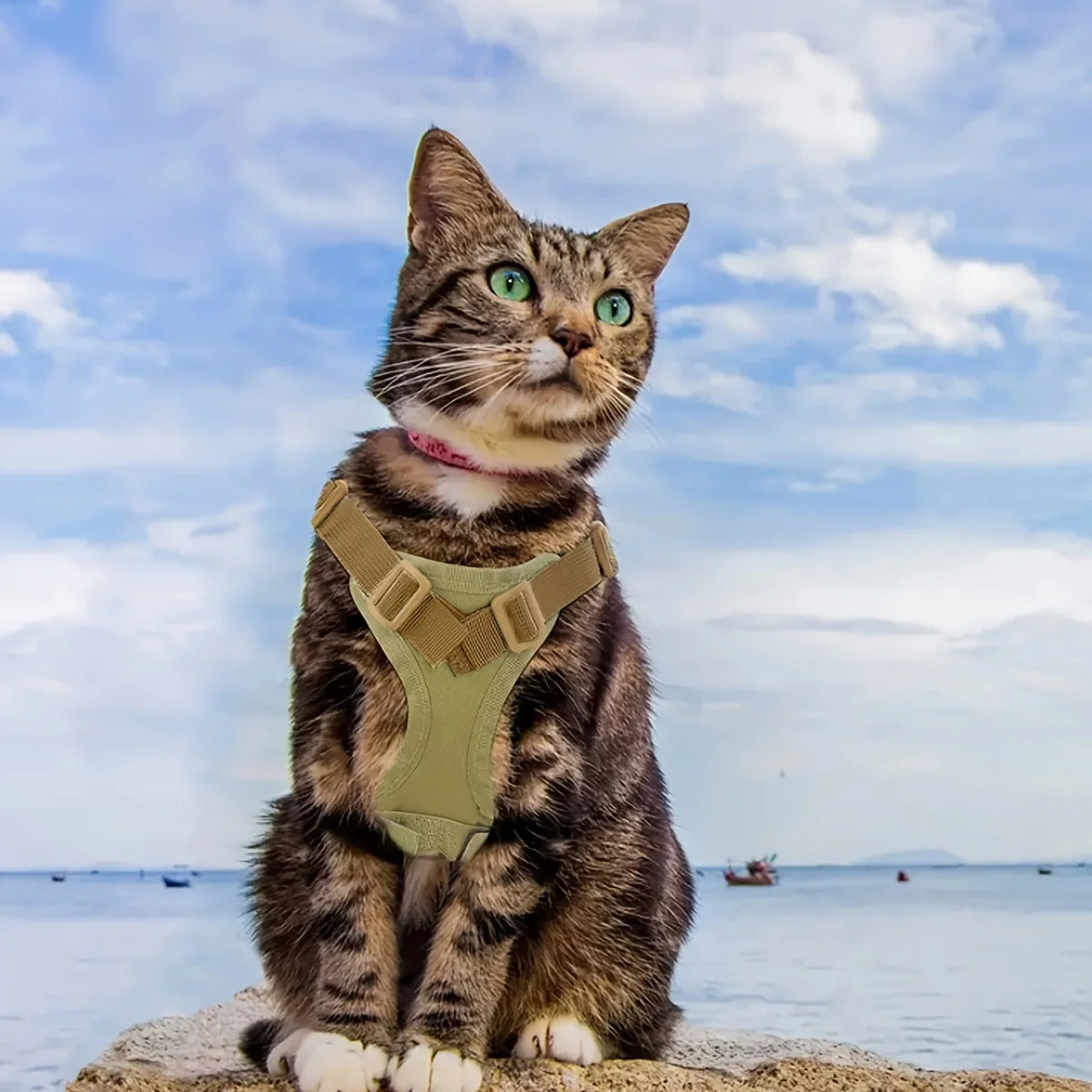 Khaki tactical cat chest harness vest type lead rope anti-break adjustable walking cat leash dog small dog chain one outfit